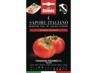 Blumen Saatgut Tomate Pomored F.1