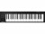 Bild 0 Nektar Keyboard Controller Impact GX49, Tastatur Keys: 49