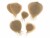Bild 0 Opiflor Trockenblumen Skelettblätter 6 Stück, Braun, Produkttyp