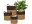 Immagine 3 scheurich Pflanzengefäss mit Griffen 28 x 24 cm