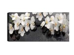 Wallxpert Bild Orchideen 30 x 80 cm, Motiv: Orchidee