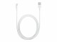 Apple - Câble Lightning - Lightning (M