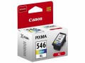 Canon Tinte CL-546XL / 8288B001, Druckleistung Seiten: 300 ×