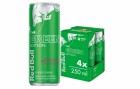Red Bull Energy Drink The Green Edition, Drachenfrucht 4 x 250 ml