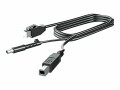 Hewlett-Packard HP 300cm DP CABLE