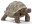 Die Riesenschildkröte von schleich WILD LIFE hat einen grossen, kuppelförmigen Panzer. In der Natur wird er manchmal 100-120 cm lang.