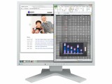 EIZO Monitor S1934H Swiss Edition, Bildschirmdiagonale: 19 "