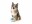 Bild 1 Fuzzyard Hunde-Spielzeug Tamadogchi, 15 x 13 x 7 cm