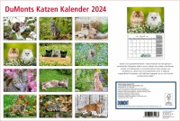 DUMONT Katzen Kalender 205103 DE, 42x29cm 2024, Kein