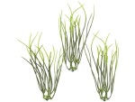 HobbyFun Mini-Utensilien Gräser 9 cm, 5 Stück, Detailfarbe: Grün