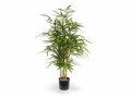 Botanic-Haus Kunstpflanze Royal Bambus, 95 cm, Produkttyp: Topfpflanze