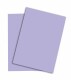 PAPYRUS   Rainbow Papier FSC          A4 - 88043136  160g, violett        250 Blatt
