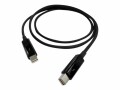 Qnap CAB-TBT10M - Thunderbolt-Kabel - Mini DisplayPort (M) zu