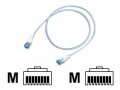 R&M - Cordon de raccordement - RJ-45 (M) pour