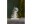 Bild 0 Star Trading Tischdeko Forest Friends, 44 cm, Holz, Betriebsart