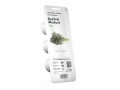 Click and Grow Saatgut Roter Rüschen-Senf, 3er-Pack, Bio: Nein