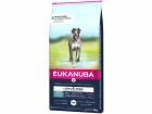 Eukanuba Trockenfutter Getreidefrei Adult L/XL Seefisch, 12 kg