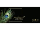 Finetec Aquarellfarbe Rainbow 12 Farben