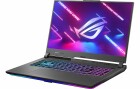 Asus Notebook ROG Strix G17 (G713PI-LL005W) RTX 4070