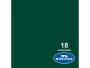 Savage Hintergrund Papier 1.35 x 11 m Evergreen