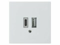 Hager kallysto USB-Ladesteckdose 2-fach A+C, 18 W, EB, Montage: Einbau