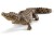 Bild 2 Schleich Spielzeugfigur Wild Life Krokodil, Themenbereich: Wild