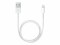 Bild 3 Apple Lightning auf USB Kabel (0.5 m)