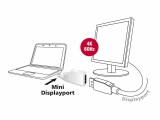 DeLock Adapter Mini-Displayport ? Displayport gedreht, Weiss