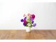 Click and Grow Saatgut Petunie, Bio: Nein, Blütenfarbe: Mehrfarbig