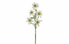 Botanic-Haus Kunstblume Edelweiss, 37 cm, 3er Set, Produkttyp