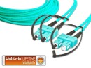 Lightwin LWL-Patchkabel SC-SC, Multimode, OM3, 50cm, Datenanschluss