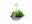 Bild 1 Venso Solutions Pflanzenleuchte SunLite 7 W, Grün, Betriebsart
