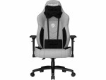AndaSeat Gaming-Stuhl T-Compact Premium Grau