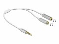 DeLock Audio-Kabel Klinke 3.5 mm, male - Klinke 3.5