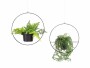 Wallxpert Blumenampel 2er Set, Schwarz, Durchmesser: 30 cm