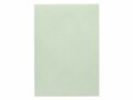 Artoz Schreibpapier 1001 A4 100 g/m² Mint, 5 Blatt