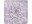 Kleine Wolke Badematte Dahlia Lila, Breite: 53 cm, Länge: 53 cm, Detailfarbe: Lila, Detailmaterial: Polyvinylchlorid (PVC), Grundmaterial: Kunststoff