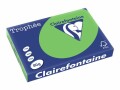 Clairefontaine CLAIRALFA - Minzgrün - A3 (297 x 420