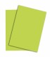 PAPYRUS   Rainbow Papier FSC          A4 - 88043110  leuchtend grün, 120g 250 Blatt