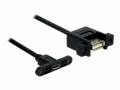 DeLock USB2.0-Kabel A-MicroB: Buchse-Buchse, 0.25m,