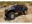 Bild 6 Axial Scale Crawler SCX10 III Jeep Gladiator JT ARTR