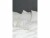 Bild 2 Nobilium Duvetbezug Oni 160 x 210 cm, Ivory, Eigenschaften