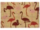 relaxdays Fussmatte Flamingo 41.5 cm x 62 cm, Bewusste