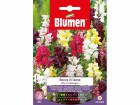 Blumen Saatgut Riesenlöwenmäulchen Mix, Bio: Nein, Blütenfarbe