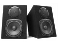 Fenton Studiomonitore DMS40 Schwarz, Monitor Typ: Multimedia