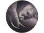 CHALET Bild Elefant Ø 58 cm, Motiv: Elefant, Detailfarbe