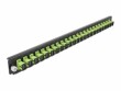 DeLock Verteilerplatte Frontblende 24 Port SC Simplex SM