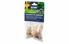 Hobby Aquaristik Dekoration Sea Shells Set, L, 5 Stück, Einrichtung