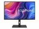 Asus Monitor Pro Art PA329CV, Bildschirmdiagonale: 32 "