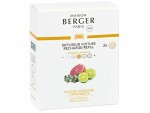 Maison Berger Maison Berger Autodiffusor Refill